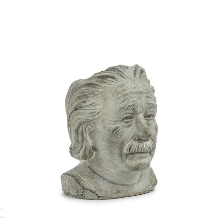 Conservatorio 8 in. Einstein Head Planter, Grey - Small CO3071962